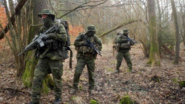 Шаг вперед и два назад. Страйкбол / Airsoft СПб