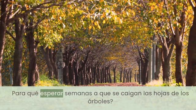 El hada de inverno - сказка для Детей на Испанском с русскими субтитрами, изучение Испанского Языка смотреть онлайн