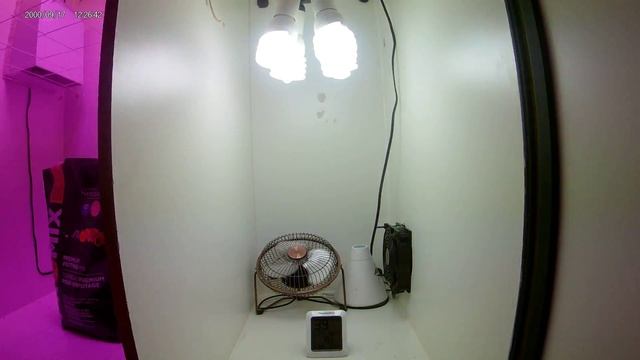 DIY GROW BOX! First Time Growers; build the best grow the best смотреть онлайн