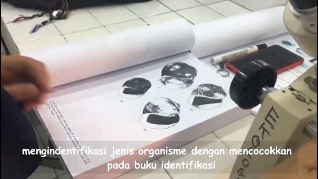 Materi III BENTHOS dan NEKTON Praktikum Ekologi Perairan Fakultas Perikanan dan Kelautan смотреть онлайн