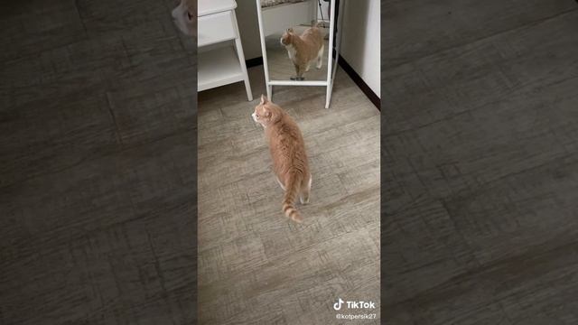 Download (1) смотреть онлайн