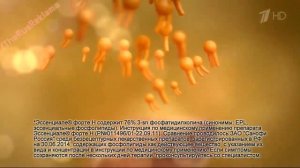 Реклама Эссенциале форте Н - Новогодняя