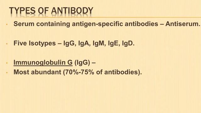 Immunoglobulin | Antigen Antibody Structure Function Monoclonal | Immunity Human Health and Disease смотреть онлайн
