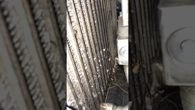 Giàn lạnh Ssangyong musso смотреть онлайн