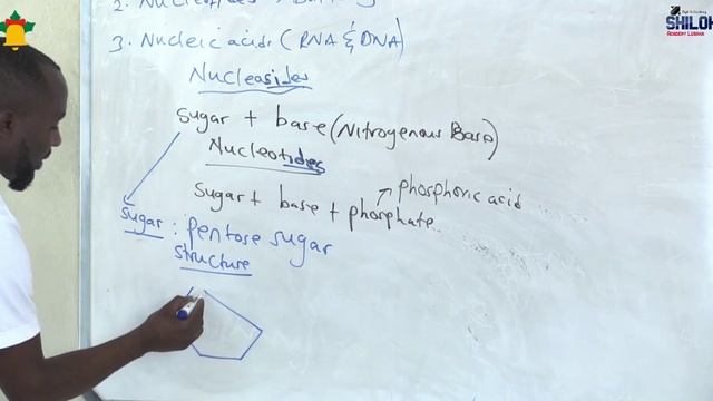 NUCLEIC ACIDS PART 1 смотреть онлайн
