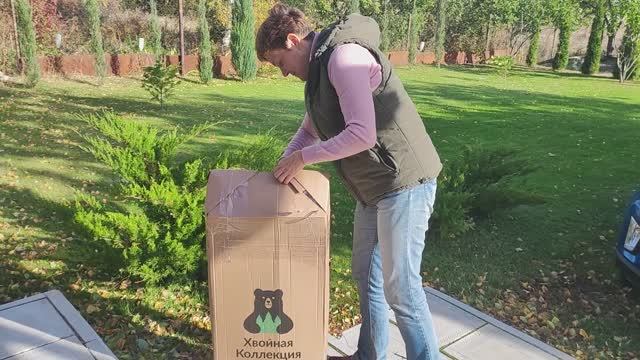 Новые хвойные в наш сад. Обзор заказа из Хвойной Коллекции (Елена - Волжский сад) смотреть онлайн