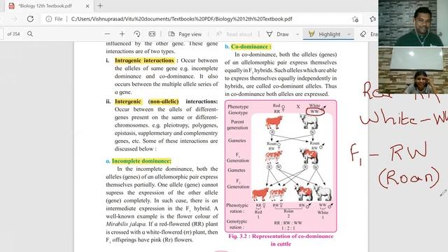 Genetics-Neo Mendelian Inheritance - Incomplete dominance, Codominance, Pleiotropy, Multiple allele смотреть онлайн