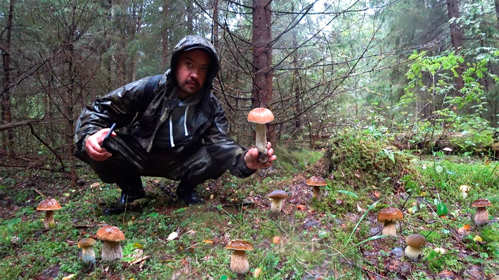 ГРИБЫ, КАК С КАРТИНКИ | ИДЕАЛЬНЫЕ БЕЛЫЕ ГРИБЫ В ДРЕМУЧЕМ ЛЕСУ| ГРИБЫ 2021