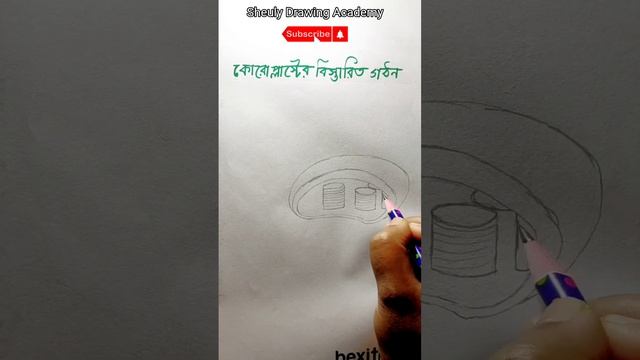 how to draw plastids/ easyক্লোরোপ্লাস্টের বিস্তারিত গঠন আঁকা #subscribe #song #short смотреть онлайн
