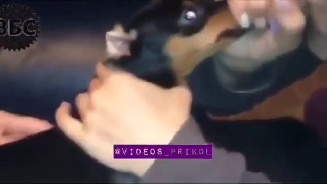 24 мая 2016 г.(26) смотреть онлайн