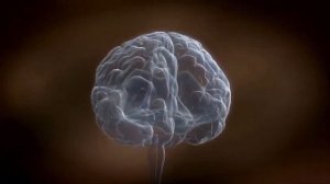 ГОПАНТЕНОВАЯ КИСЛОТА, он же ПАНТОГАМ оказывает ноотропное действие на мозг