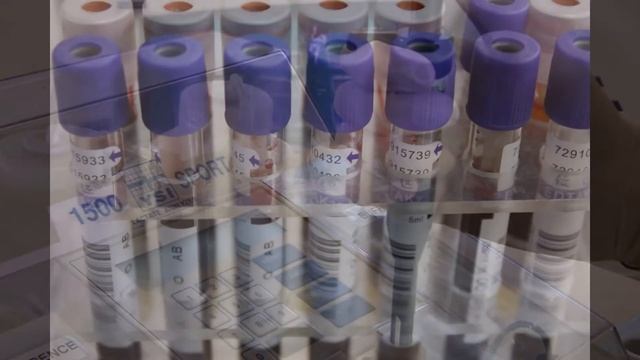 Blood Processing Enterprise смотреть онлайн