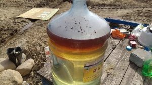 Весенняя подкормка - сироп с перцем