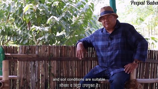 Miyawaki method of tree planting explained in simple terms смотреть онлайн