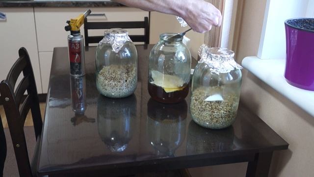 Размножение биопрепарата на основе гриба Боверия Басси на перловке в домашних условиях.#боверия смотреть онлайн