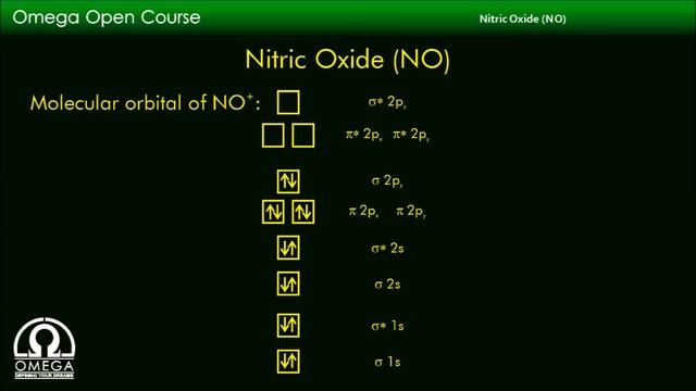 Nitric Oxide - Preparation, Properties and Uses смотреть онлайн