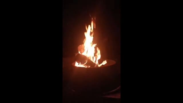 Лагерь Школа лесных волонтеров смотреть онлайн