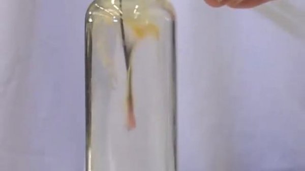 взаимодействие хлора с медью