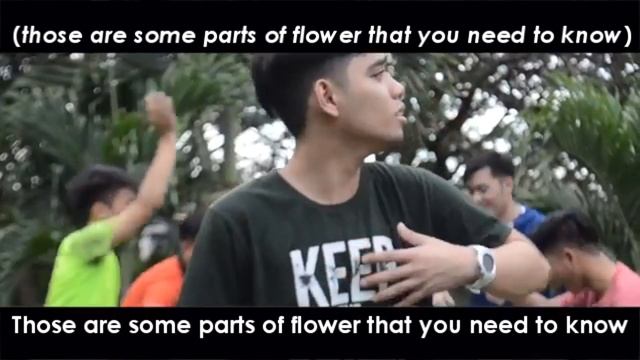 What makes a flower beautiful? - Botany Bois Club смотреть онлайн