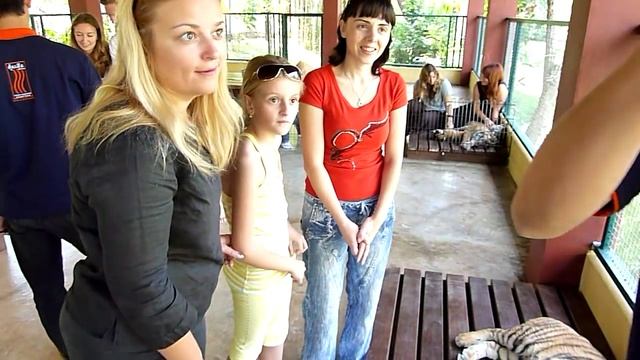 Dasha and tigers смотреть онлайн