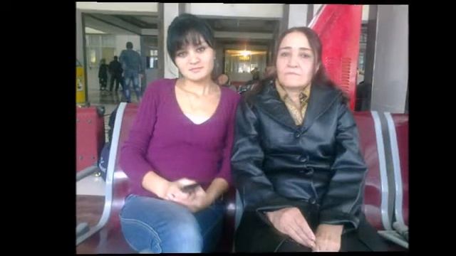 Тамин др проект