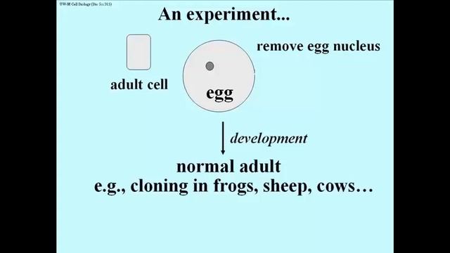 220 An Experiment: All of an Organism's Cells Have the Same Genome смотреть онлайн