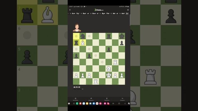 Играю в шахматы с ботом смотреть онлайн