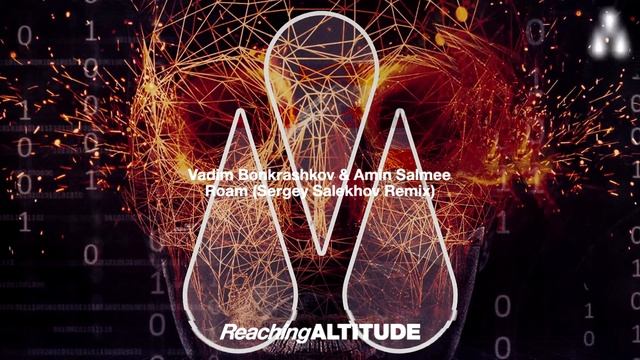 Vadim Bonkrashkov & Amin Salmee - Roam (Sergey Salekhov Remix) смотреть онлайн