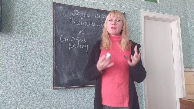 поділ клітини смотреть онлайн