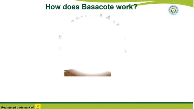 Basacote Plus 6M/12M смотреть онлайн