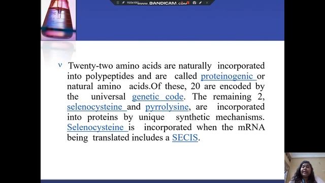 Amino acid Introduction смотреть онлайн