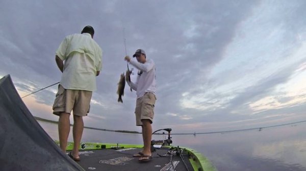 Catching Bass & Redfish with the Biovex Joint Bait 110!