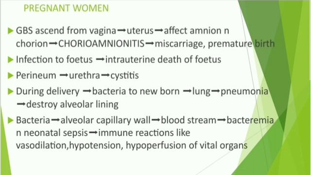 STREPTOCOCCUS AGALACTIAE/GBS-MICROBIOLOGY LECTURE For Medical Students