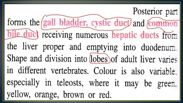 Comparative study of Digestive System Part - 3 смотреть онлайн