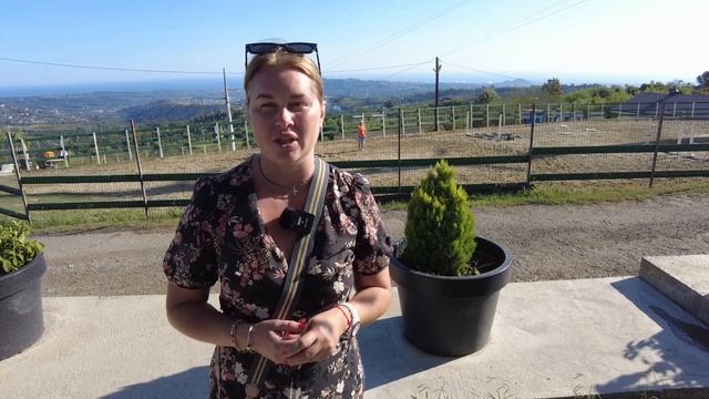 Скачи, Мустанг, скачи! смотреть онлайн