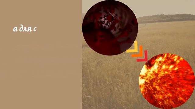 Тест на логику. смотреть онлайн