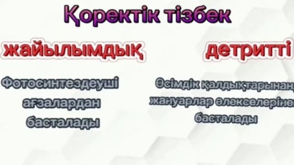 4 тоқсан, 11 сынып, Биология, Трофикалық деңгейлер