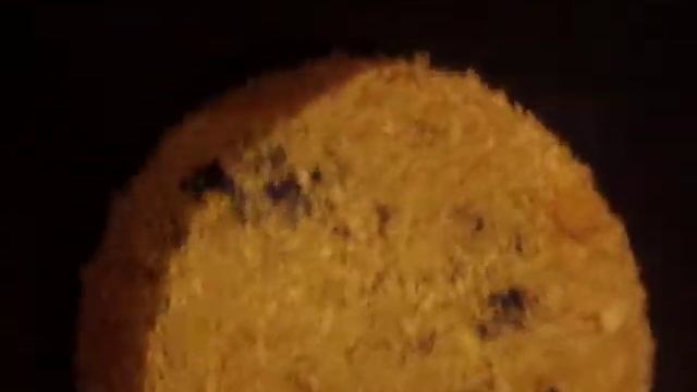 Жоңғар ергежейлі атжалманы смотреть онлайн