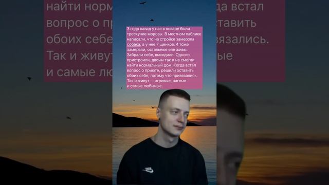 Берегите друг друга 💚 #жизнь #добро смотреть онлайн