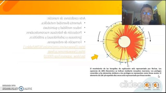 Bacillus Subtilis смотреть онлайн