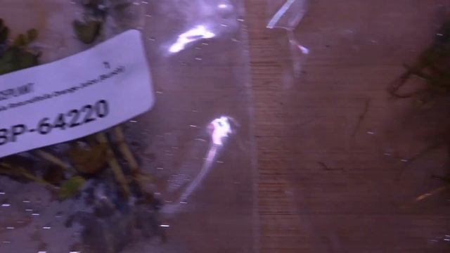 UNS 30C Cube Aquarium - Planted Tank Build - No Filter - No Co2 - No Ferts - Dirt смотреть онлайн