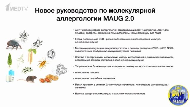 Обзор новостей EAACI Congress 2022 | Ольга Жоголева