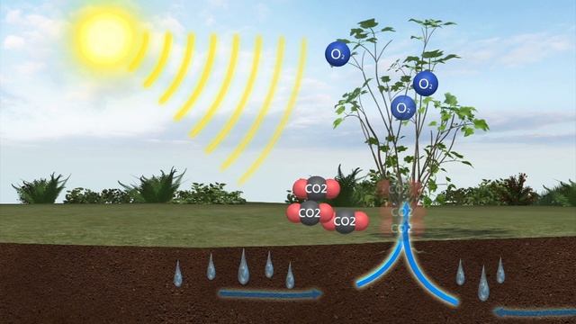Study uses sunlight to change carbon dioxide into ethanol смотреть онлайн