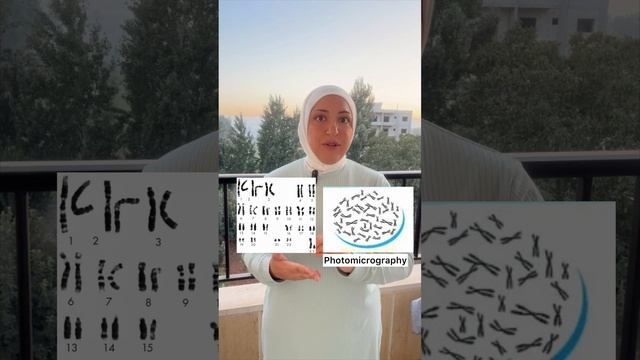 Photomicrography vs karyotype #biologyclass12 #الامتحانات_الرسمية смотреть онлайн