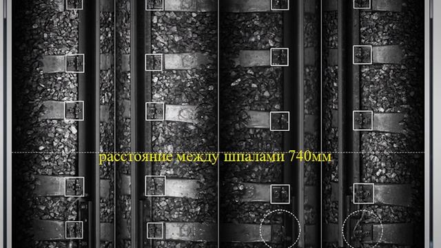 ООО "МСД Холдинг" смотреть онлайн
