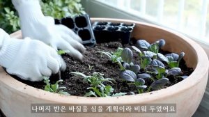 vlog/ 한걸음씩 나아가는 일상 시간표/ 4월의 살림 일기 /Garden Life in April (sub)