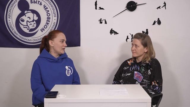 Адаптация собаки в новом доме смотреть онлайн