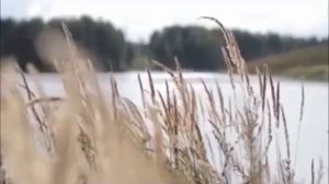 Ришат Тухватуллин Сандугач