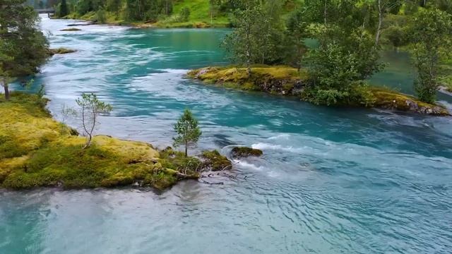 музыка моцарт | лучшее из моцарта | Классическая музыка для расслабления и сосредоточения внимания смотреть онлайн