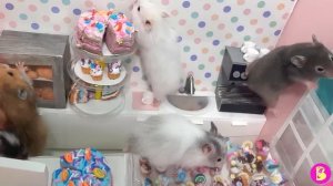 ХОМЯК САМ СЕБЕ ПОВАР** ИЛИ СНОВА БАРДАК в КАФЕШКЕ